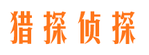 岳西市场调查